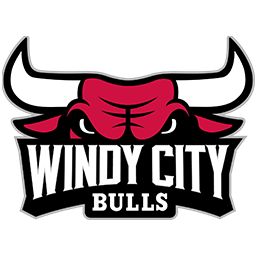 科利奇帕克天鷹